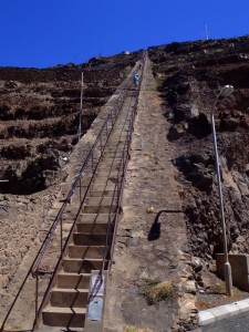 Jacob's Ladder
