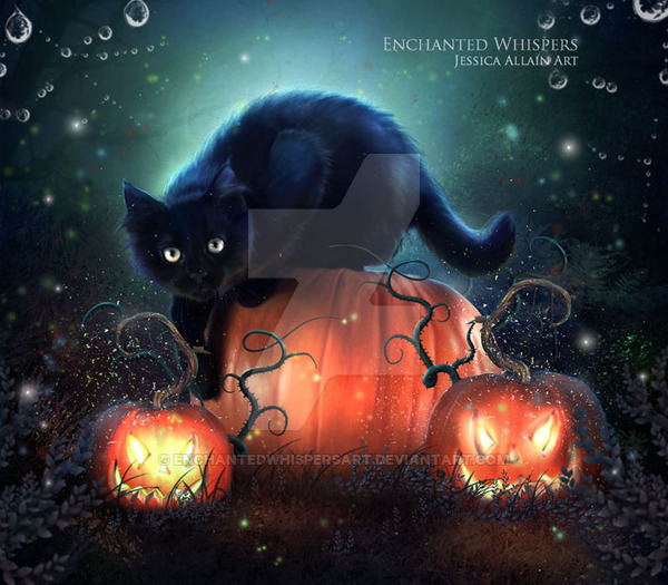 black_cat_by_enchantedwhispersart-d5jgsfq