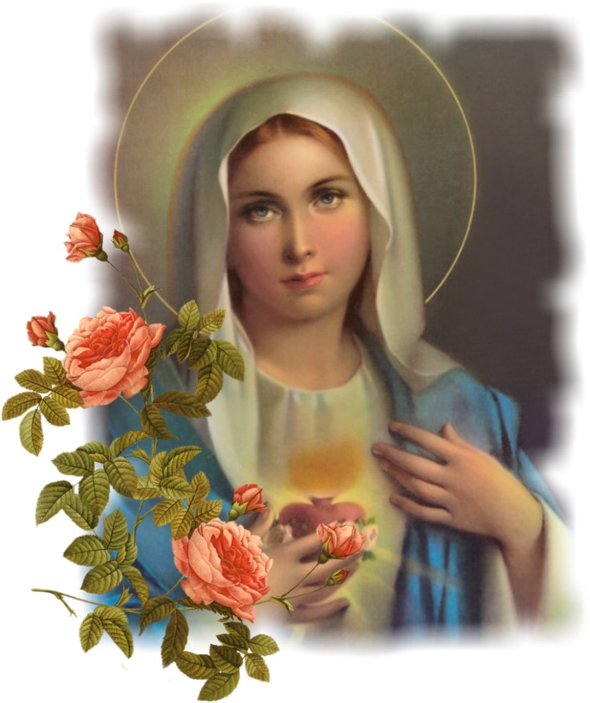 mary8
