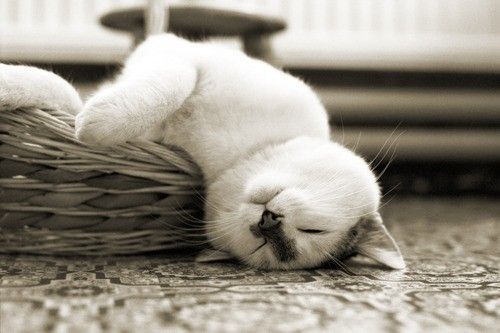 October-30-2012-02-36-30-i