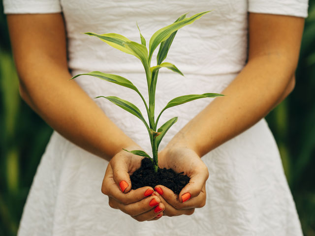 8cdd8f94-73a9-4a44-8888-8d404c370b7e